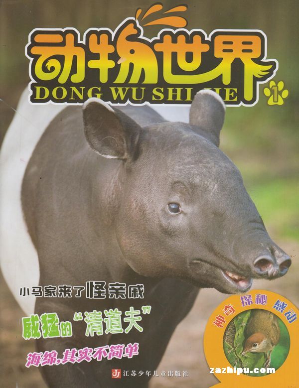 动物世界2014年1-2月期封面图片-杂志铺zazhipu.com