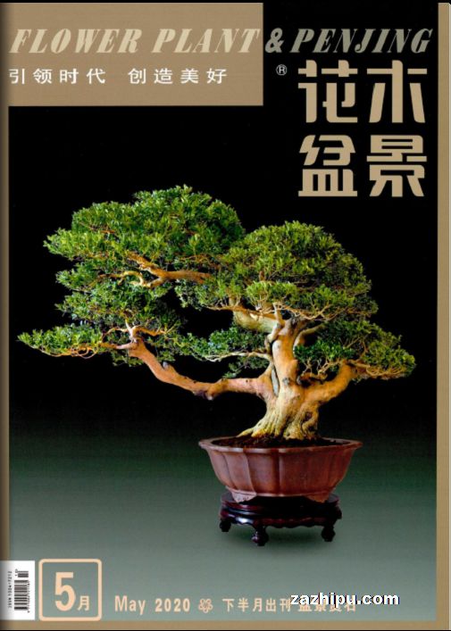 花木盆景(盆景赏石版)封面图片-杂志铺zazhipu.