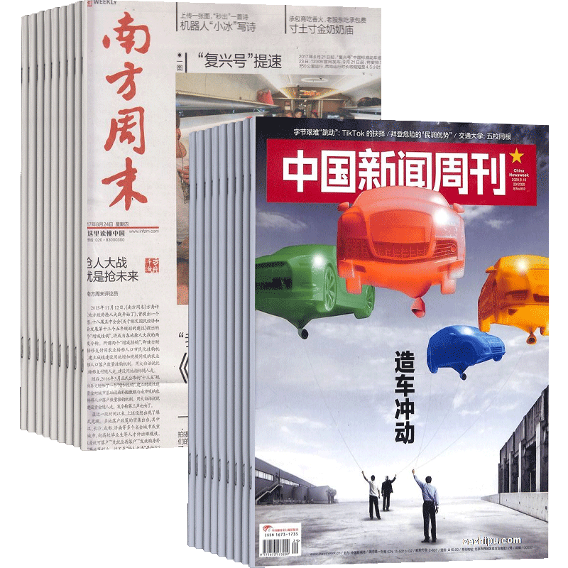 中国新闻周刊（1年共48期）+南方周末（1年共52）两刊组合订阅（杂志订阅）