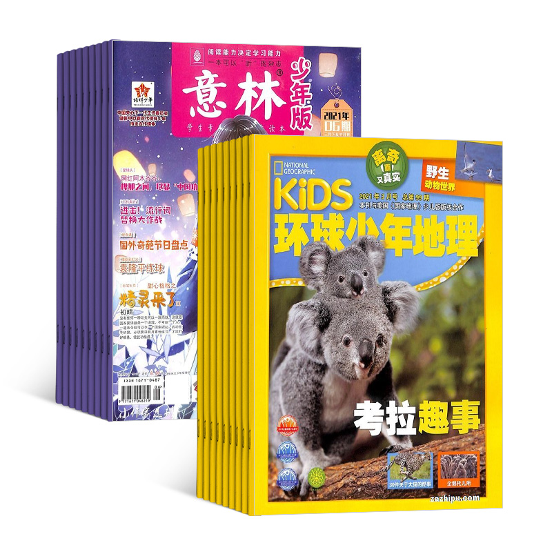 KiDS环球少年地理（1年共12期）+意林少年版（1年共24期）两刊组合订阅（杂志订阅）