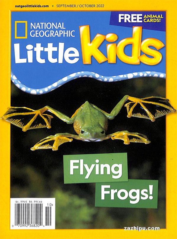 NGLittleKids׶ҵӢģ20229