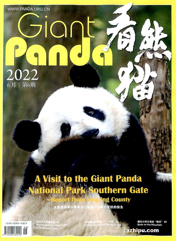 看熊猫2022年6月期