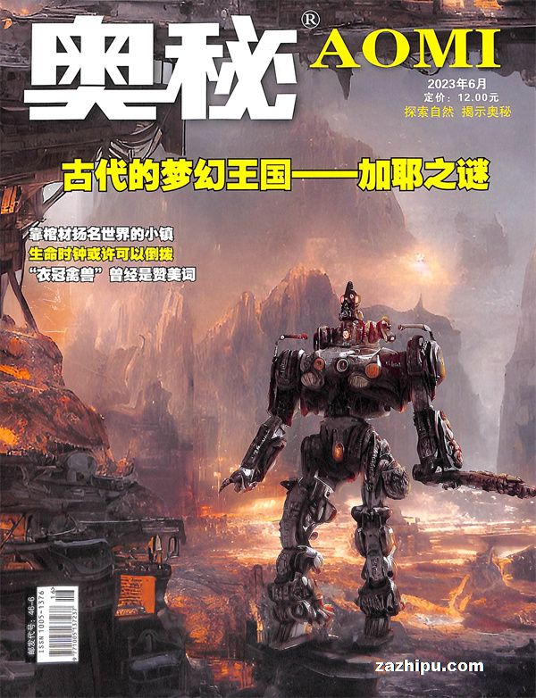 20236