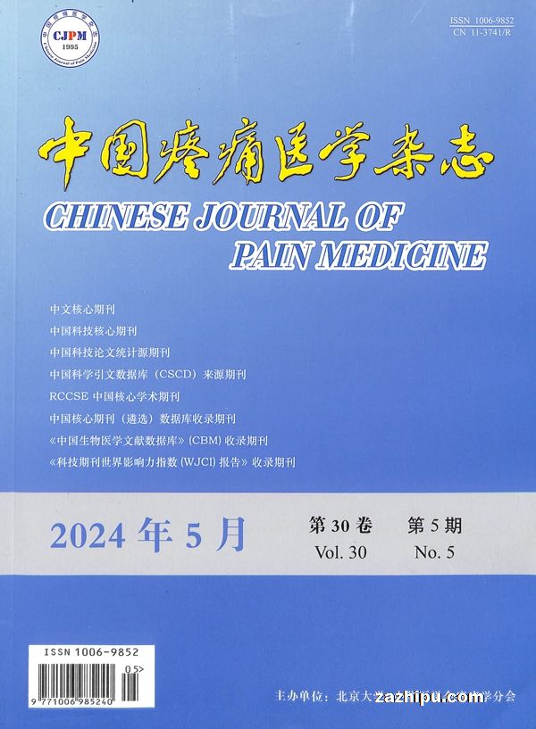 йʹҽѧ־Ӣİ棩ChineseJournalofPainMedicine