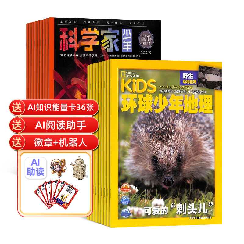 ѧ+KiDS1깲24ڣ־ģ+AI֪ʶ