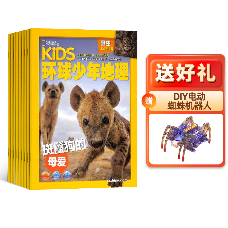 KiDSҵٶȨ1깲12ڣ־ģ