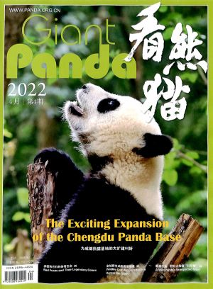 看熊猫2022年4月期