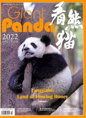 看熊猫2022年10月期