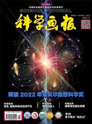 科学画报2022年11月期