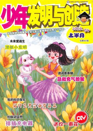 귢봴20234µ1