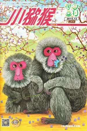 小猕猴学习画刊2015年12月第1期