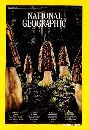 美国国家地理（英文原版）National Geographic （1年共12期）（杂志订阅） 
