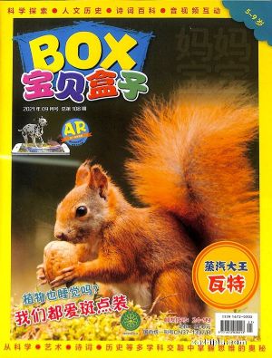 ���盒子BOX（小�W版）（1年共12期）�s志��
