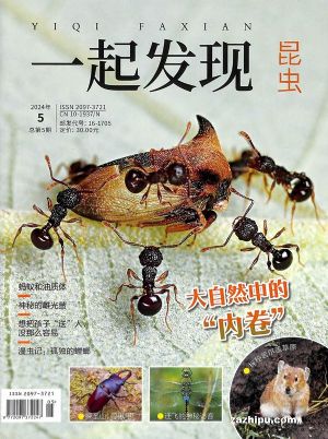 一起发现昆虫（自然百科）（1季度共3期）（杂志订阅）